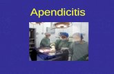 Apendicitis. DEFINICION La Apendicitis es inflamación del apéndice vermicular, un pequeño órgano que se halla al principio del colon ascendente. La inflamación.