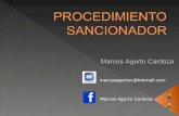Marcos Agurto Cardoza marcosagurtoc@hotmail.com. DENUNCIA DEFENSA DECISION RECURSO.