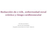 Reducción de c-LDL, enfermedad renal crónica y riesgo cardiovascular Dr Jose Luis Górriz Servicio de Nefrologia Hospital Universitario Dr Peset. Valencia.