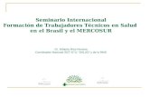 Seminario Internacional Formación de Trabajadores Técnicos en Salud en el Brasil y el MERCOSUR Dr. Gilberto Ríos Ferreira Coordinador Nacional SGT N°11.