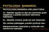PATOLOGIA MAMARIA. PATOLOGIA MAMARIA INFLAMATORIA. 1).- Mastitis aguda se dan por bacterias gram negativas y pueden producir abscesos mamarios. 2).- Mastitis.