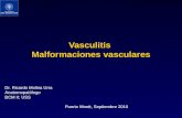 Vasculitis Malformaciones vasculares Dr. Ricardo Molina Urra Anatomopatólogo BCM II; USS Puerto Montt, Septiembre 2010.