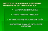INSTITUTO DE CIENCIAS Y ESTUDIOS SUPERIORES DE TAMULIPAS A.C  MATERIA: EMBRIOLOGIA  TEMA: CORDON UMBILICAL  ALUMNO: EZEQUIEL CRUZ SALDAÑA  PROFESOR:
