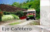 Eje Cafetero. Eje Cafetero INFORMACION GENERAL La región cafetera Colombiana está conformada por los departamentos de Risaralda, Quindío y Caldas. Sus.