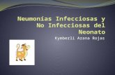 Kymberli Arana Rojas. INTRODUCCIÓN La neumonía es una enfermedad producida principalmente por especies de Pasteurellas y /o Haemophilus. Afecta principalmente,