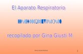 Gina Giusti Muñoz1 1. 2 3 2 4 El aire se inhala por la nariz, donde se calienta y humedece. Luego, pasa a la faringe. nariz Vías altas: Boca, faringe.