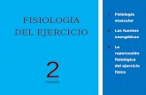 FISIOLOGÍA DEL EJERCICIO 2 UNIDAD 1Fisiología muscular 2Las fuentes energéticas 3La repercusión fisiológica del ejercicio físico.