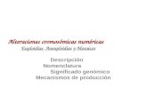 Alteraciones cromosómicas numéricas Euploidias, Aneuploidias y Mosaicos Descripción Nomenclatura Significado genómico Mecanismos de producción.