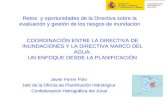 COORDINACIÓN ENTRE LA DIRECTIVA DE INUNDACIONES Y LA DIRECTIVA MARCO DEL AGUA: UN ENFOQUE DESDE LA PLANIFICACIÓN Javier Ferrer Polo Jefe de la Oficina.