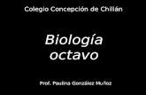 Biología octavo Colegio Concepción de Chillán Prof. Paulina González Muñoz.