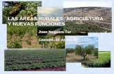LAS ÁREAS RURALES: AGRICULTURA Y NUEVAS FUNCIONES Joan Noguera Tur Castelló, 22 de febrer.