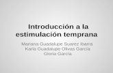 Introducción a la estimulación temprana Mariana Guadalupe Suarez Ibarra Karla Guadalupe Olivas García Gloria García.