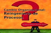 Cambio Organizacional: Reingeniería de Procesos Dr. Jaime Alfonso Sánchez Garza.