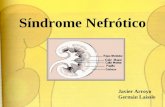 Síndrome Nefrótico Javier Arroyo Germán Laissle. Síndrome Nefrótico Ocurre como consecuencia de varias enfermedades. Las cuales pueden ser glomerulopatías.