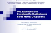 Una Experiencia de Investigación Cualitativa en Salud Mental Ocupacional Patricia Grau Mascayano Departamento de Salud Ocupacional MINSAL 14 y 16 de Agosto.