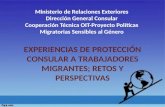 Ministerio de Relaciones Exteriores Dirección General Consular Cooperación Técnica OIT-Proyecto Políticas Migratorias Sensibles al Género EXPERIENCIAS.