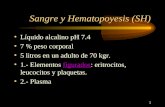 1 Sangre y Hematopoyesis (SH) Líquido alcalino pH 7.4 7 % peso corporal 5 litros en un adulto de 70 kgr. 1.- Elementos figurados: eritrocitos, leucocitos.