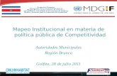 Mapeo Institucional en materia de política pública de Competitividad Autoridades Municipales Región Brunca Golfito, 28 de julio 2011.