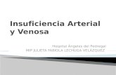 Hospital Ángeles del Pedregal MIP JULIETA FABIOLA LECHUGA VELÁZQUEZ.