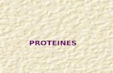 PROTEINES. Indice Concepto Aminoácidos. Propiedades Peptidos Proteinas Clasificación.
