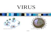 EASV VIRUS. 2 ¿Qué son? Un virus es básicamente una pequeña cantidad de material genético dentro de una cubierta. No poseen la capacidad de reproducirse.