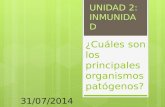 ¿Cuáles son los principales organismos patógenos? UNIDAD 2: INMUNIDAD 31/07/2014.