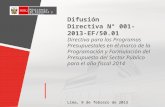 Ministerio de Economía y Finanzas Difusión Directiva N° 001-2013-EF/50.01 Directiva para los Programas Presupuestales en el marco de la Programación y.