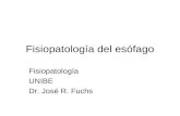 Fisiopatología del esófago Fisiopatología UNIBE Dr. José R. Fuchs.