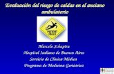 Evaluación del riesgo de caídas en el anciano ambulatorio Marcelo Schapira Hospital Italiano de Buenos Aires Servicio de Clínica Médica Programa de Medicina.