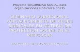 Proyecto SEGURIDAD SOCIAL para organizaciones sindicales- SSOS SEMINARIO SUBREGIONAL FORTALECIMIENTO DE REDES SINDICALES EN MATERIA DE PROTECCION SOCIAL.