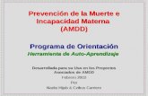 Prevención de la Muerte e Incapacidad Materna (AMDD) Desarrollada para su Uso en los Proyectos Asociados de AMDD Febrero 2002 Por Nadia Hijab & Czikus.