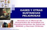 Sara Manríquez González Ing. En Prevención de Riesgos y Medio Ambiente 1 GASES Y OTRAS SUSTANCIAS PELIGROSAS Basado en el Manual de Prevención de Incendios.