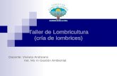 Taller de Lombricultura (cría de lombrices) Docente: Viviana Andreano Vet. Ms rn Gestión Ambiental.