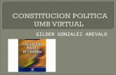 GILDER GONZALEZ AREVALO.  Esta asignatura nació de la necesidad de conocer la constitución política Colombiana de una manera general pero que diera bases.