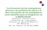 Seminario Internacional “Formación de Trabajadores Técnicos en Salud de Brasil y del Mercosur” Rio de Janeiro 24-26/Nov/2008.