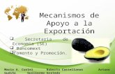 Mecanismos de Apoyo a la Exportación  Secretaria de Economia (SE)  Bancomext  Fomento y Promoción. Mario A. Curiel Roberto Castellanos Arturo Gudiño.