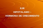 EJE HIPOTALAMO – HORMONA DE CRECIMIENTO. Hormonas del Eje Hipotálamo – Hipofisario anterior Hormona de crecimiento Efectos de la GH: Disminuye la utilización.