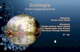 Ecología Ciclos biogeoquímicos Maestra: Perez Cruz Paula Alumnos: Castro Ochoa Alma Gloria Cruz Maldonado Ana Karina Martinez Ortega Brandon 6° «E»