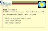 RedEctopar Red Electrónica de Garrapatas y Enfermedades Transmitidas por Garrapatas para América Latina y el Caribe Report of activities 2004 – 2005 Efraín.