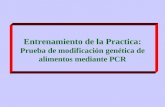 Entrenamiento de la Practica: Prueba de modificación genética de alimentos mediante PCR.