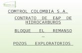 CONTRATO DE E&P DE HIDROCARBUROS BLOQUE EL REMANSO POZOS EXPLORATORIOS COMTROL COLOMBIA S.A.