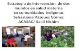 Estrategia de intervención de dos mundos en salud materna en comunidades indígenas Sebastiana Vázquez Gómez ACASAC/ Sakil Nichim.