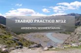 TRABAJO PRACTICO Nº12 AMBIENTES SEDIMENTARIOS. AMBIENTES SEDIMENTARIOS Definición: área de la superficie terrestre donde el sedimento es depositado. Pueden.