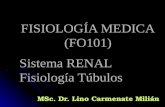 FISIOLOGÍA MEDICA (FO101) Sistema RENAL Fisiología Túbulos MSc. Dr. Lino Carmenate Milián.