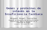 Genes y proteínas de interés en la Insuficiencia Cardiaca Miguel Ángel Torralba Programa de actualización en Insuficiencia Cardiaca para Médicos Residentes.