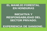 EL MANEJO FORESTAL EN HONDURAS INICIATIVA Y RESPONSABILIDAD DEL SECTOR PRIVADO. EXPERIENCIA DE SANSONE. 1.