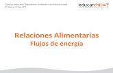 Relaciones Alimentarias Flujos de energía Ciencias Naturales/Organismos, ambiente y sus interacciones 6º Básico / Clase N°3.