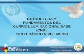 ESTRUCTURA Y FUNDAMENTOS DEL CURRICULUM NACIONAL BASE (CNB) CICLO BÁSICO NIVEL MEDIO.