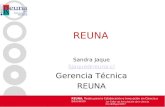 1er Taller de Articulación de e-ciencia 23-24/Mayo/2007 REUNA, Redes para la Colaboración e Innovación en Ciencia y Educación REUNA Sandra Jaque Sjaque@reuna.cl.