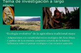 “ Ecología evolutiva” de la agricultura tradicional maya - Adaptaciones a la variabilidad micro ecológica del Área Maya - Cambios de la economía campesina.